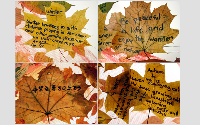 Commentree | Leaves with messages, 2005